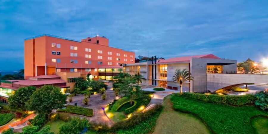 Almenat Tapestry by Hilton celebra Almenat Tapestry by Hilton celebra