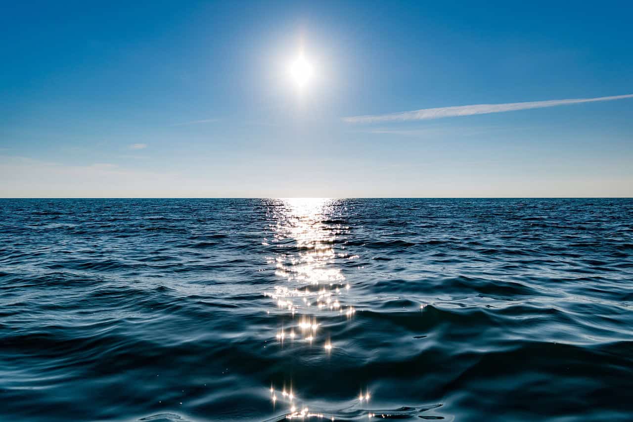 copa do mundo do oceano credits divulgação