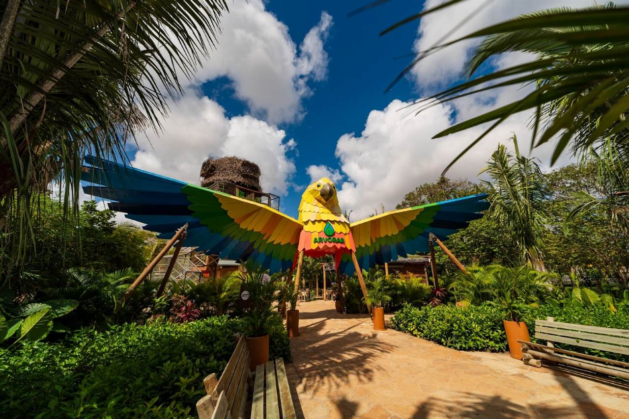 parque arvorar credits divulgação