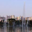 parque ibirapuera credits divulgação