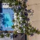 portobello resort & safári celebra o dia dos pais com programação e diária especial credits divulgação