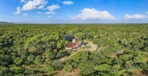 rica biodiversidade da caatinga