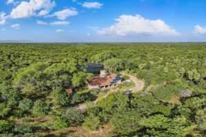rica biodiversidade da caatinga