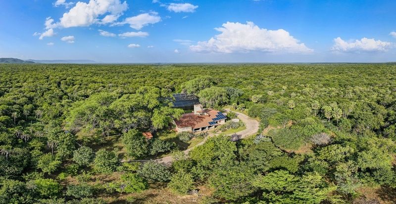 rica biodiversidade da caatinga