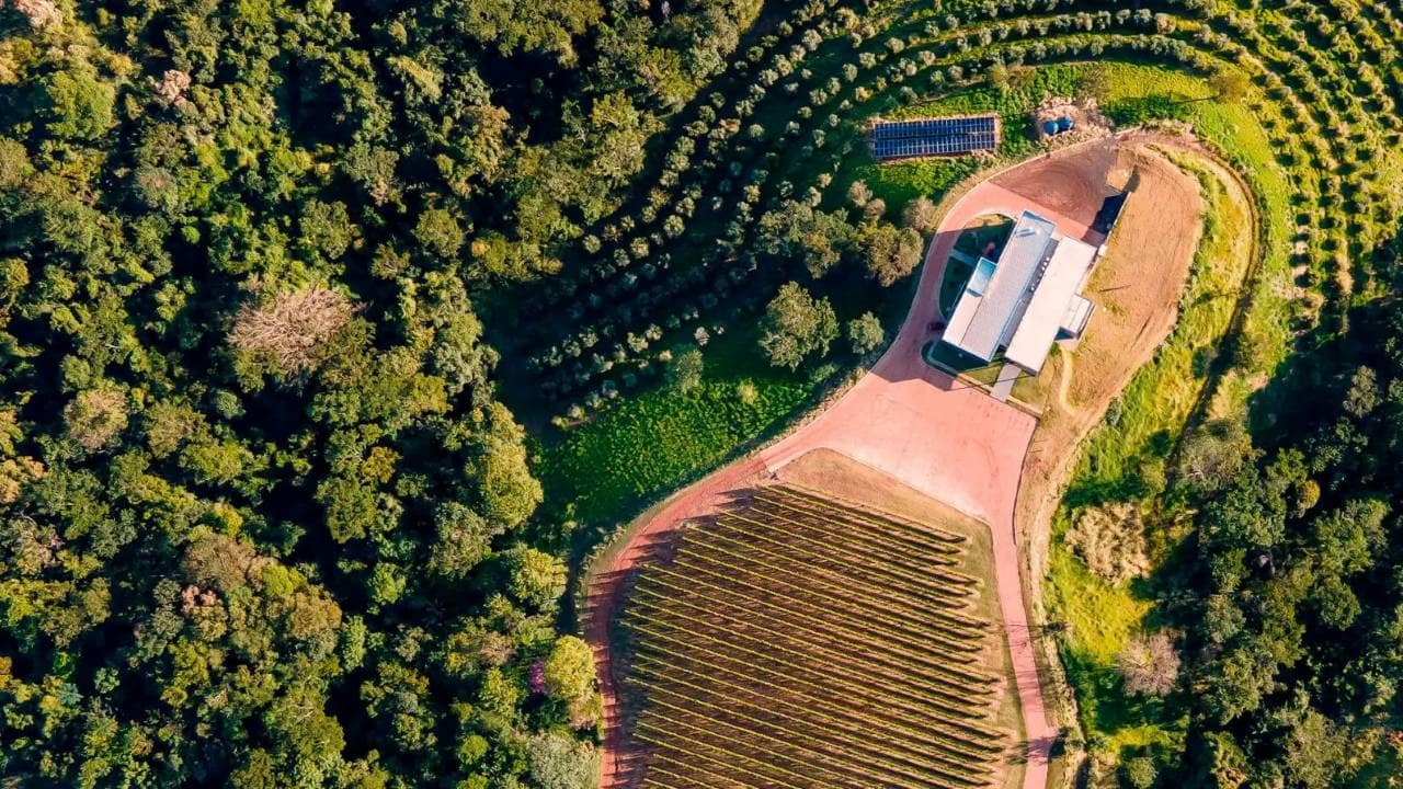 vinícola terras altas