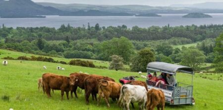1 – Lennox of Lomond Farm Tours. © Go Rural Craig Stephen.jpg 1 lennox of lomond farm tours. © go rural craig stephen