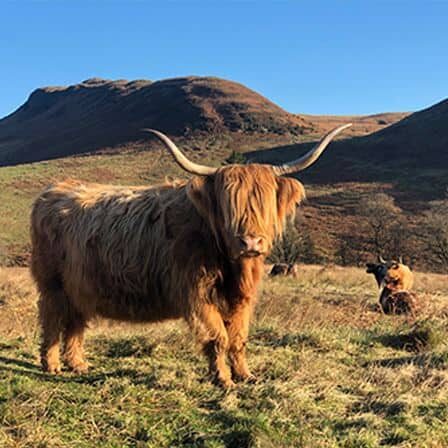 2 nether glenny farm, port of menteith