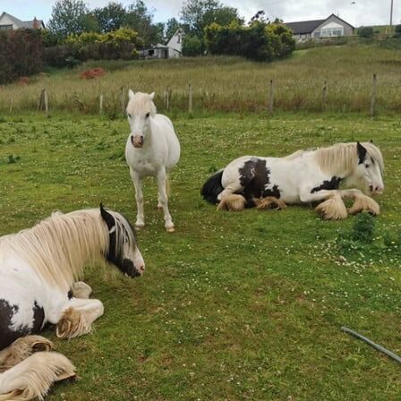 2 – © Eat Sleep Ride, Scottish Borders.jpg 2 © eat sleep ride, scottish borders