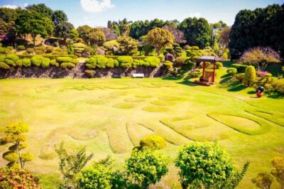 Parque Maeda: um presente perfeito para o Dia dos Pais