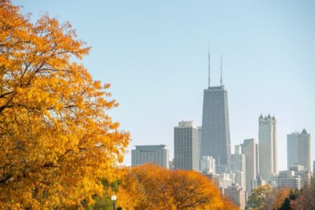 2 chicago no outono divulgação