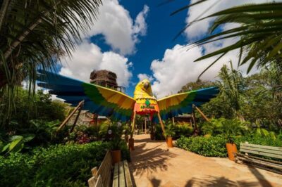 beach park credits arnaldo dantas