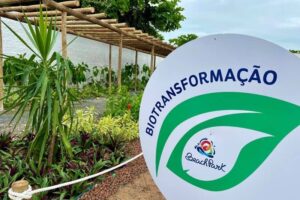beach park promove quinta edição da jornada sustentável credits divulgação