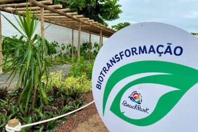 beach park promove quinta edição da jornada sustentável credits divulgação