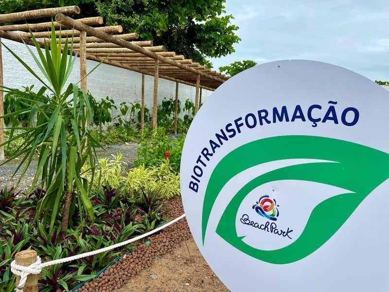 beach park promove quinta edição da jornada sustentável credits divulgação