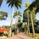 bioparque do rio credits bioparque do rio