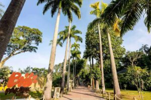 bioparque do rio credits bioparque do rio