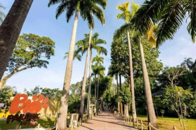 bioparque do rio credits bioparque do rio