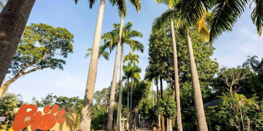 BioParque do Rio celebra Semana do Cliente com promoção