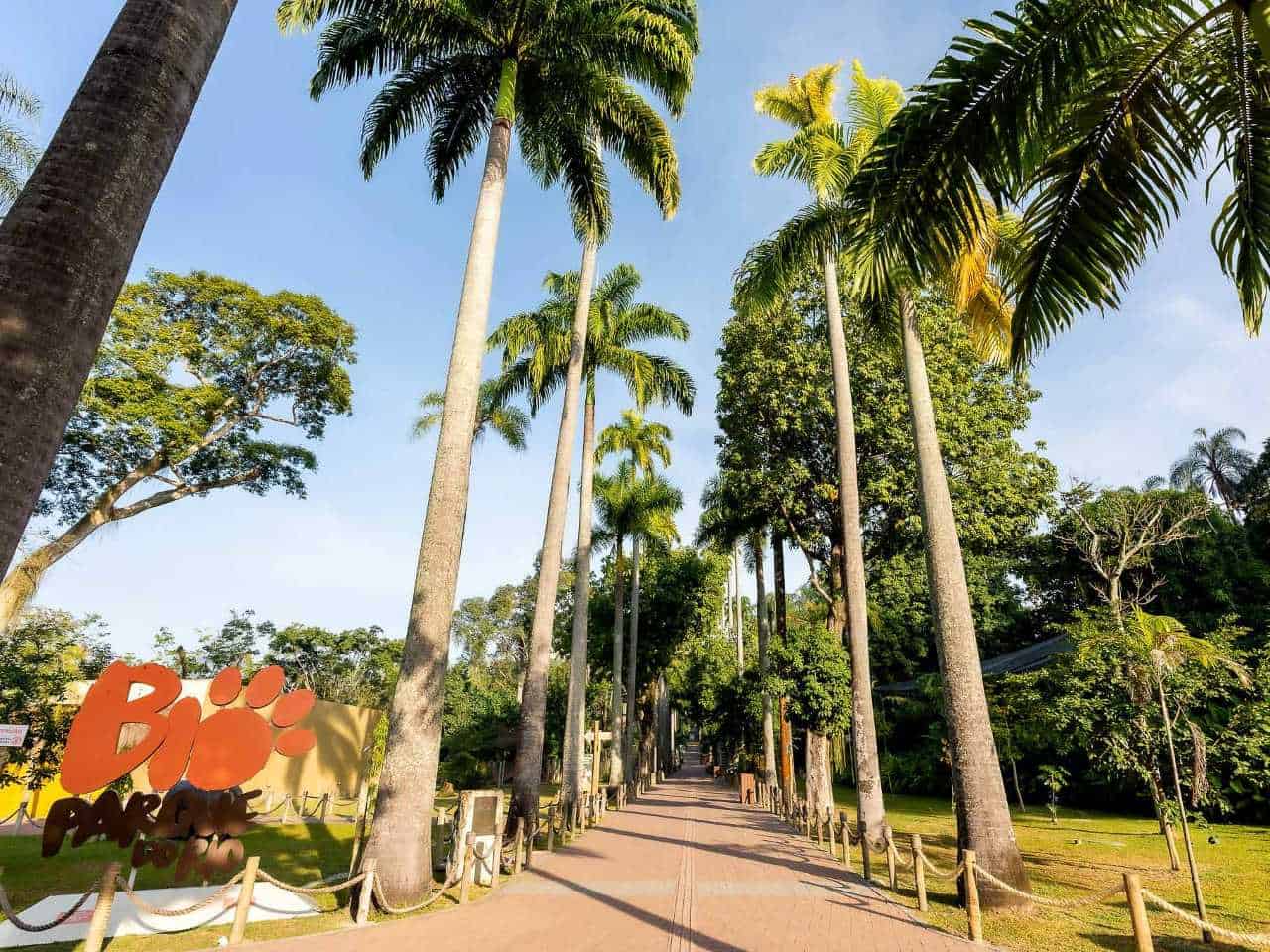 bioparque do rio credits bioparque do rio