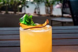 caroteno drink do beach club tropìk é eleito como um dos melhores da cidade credits beach club tropik