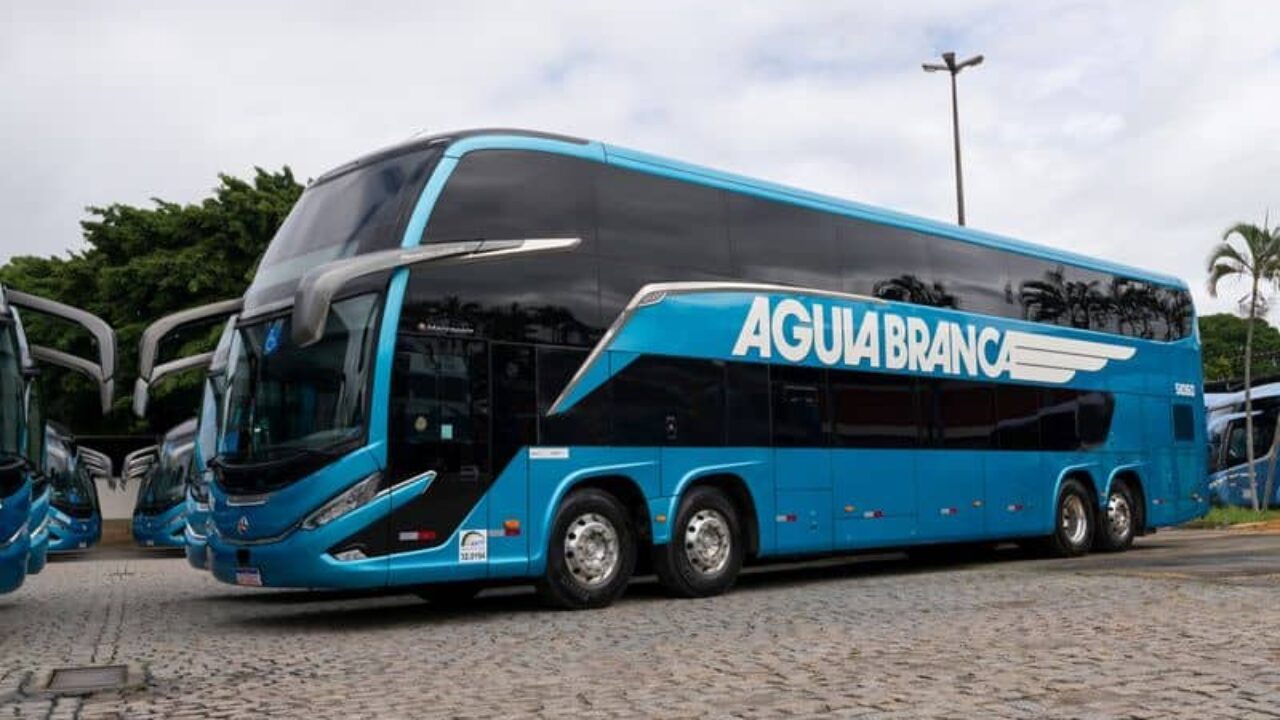 Foto arquivo Águia Branca foto arquivo Águia branca