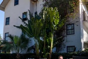 hotel santa teresa mgallery integra programação mundial soundhealing no jardim