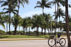 miami ocean drive 7111332 1280 divulgação ilseorsel