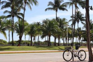 miami ocean drive 7111332 1280 divulgação ilseorsel