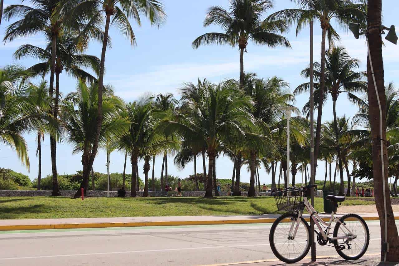 miami ocean drive 7111332 1280 divulgação ilseorsel