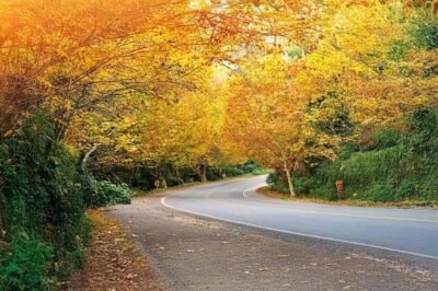 ABAV Nacional: Primavera traz opções de destinos