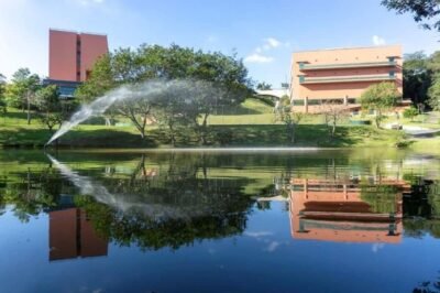 almenat tapestry by hilton lança pacote babymoon almenat tapestry by hilton lança pacote babymoon