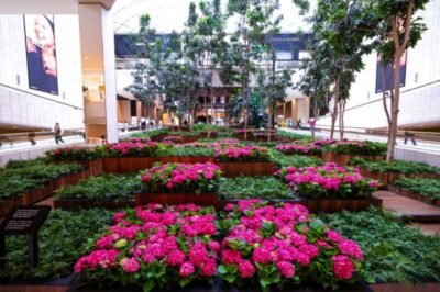 iguatemi são paulo incentiva o cuidado da mulher credits raf cusato