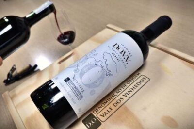 vale dos vinhedos é referência em destino enoturístico crédito naiára martini