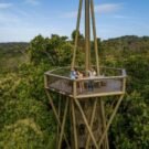 birdwatching at gamboa rainforest reserve tower, panama city, panamá