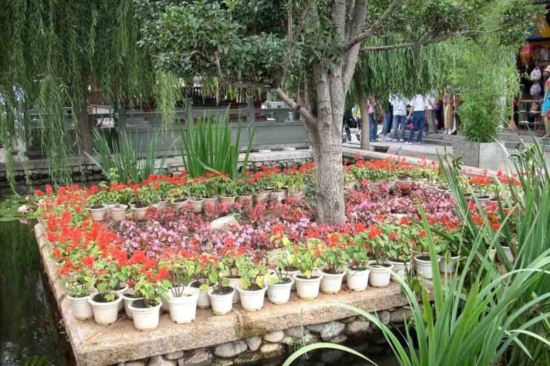 Dali Cidade Antiga - Credits ZAffiro Viagens Dali Cidade Antiga - Credits ZAffiro Viagens