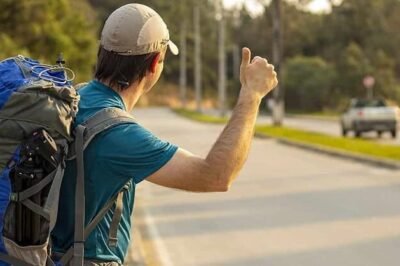 dia do solteiro reprodução melhores destinos dia do solteiro reprodução melhores destinos