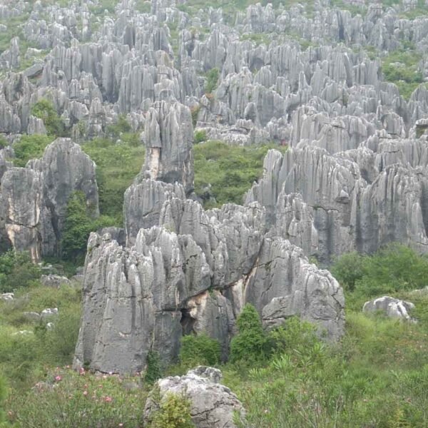 kunming stone forest yunnan china credits zaffiro viagen