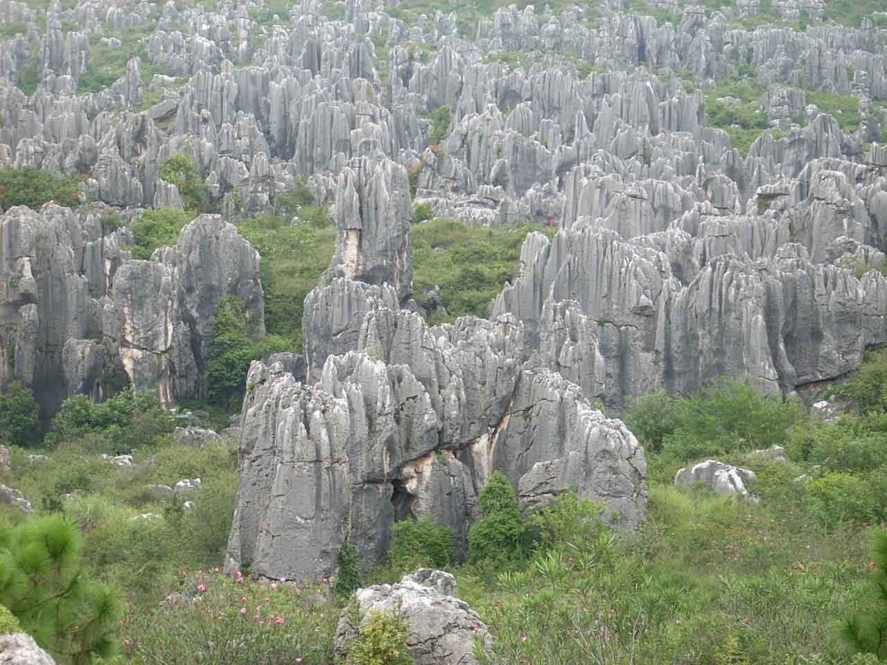 kunming stone forest yunnan china credits zaffiro viagen kunming stone forest yunnan china credits zaffiro viagen