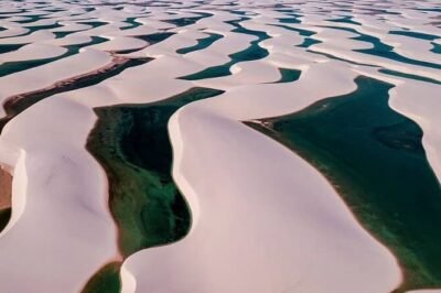 lençóis maranhenses delta do parnaíba e jericoacoara foto divulgação embratur lençóis maranhenses delta do parnaíba e jericoacoara foto divulgação embratur