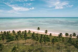 milagres o paraiso alagoano que conquista turistas brasileiros e estrangeiros