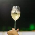 natal nos vinhedos abre programação de 2025 hoje. crédito das fotos rodi goulart