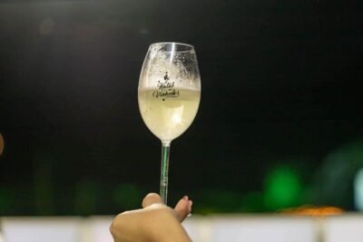 natal nos vinhedos abre programação de 2025 hoje. crédito das fotos rodi goulart