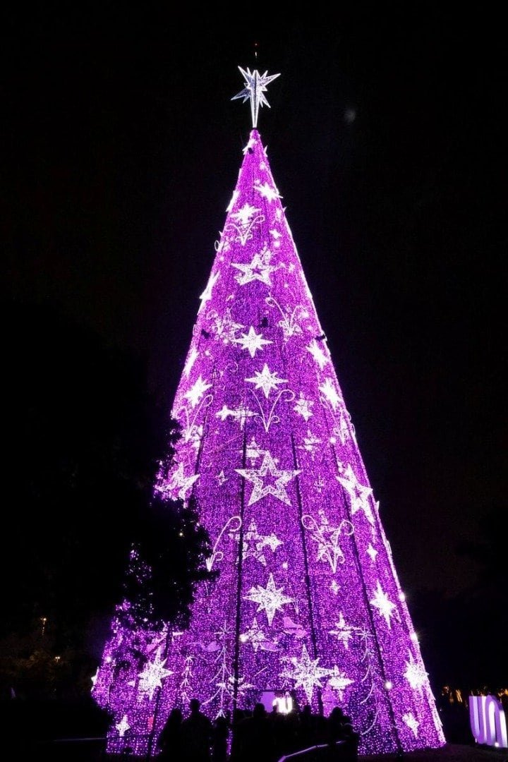 parque ibirapuera anuncia o maior natal de são paulo divulgação urbia