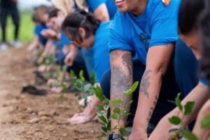 participantes plantam muda de camellia sinensis na rota do chá 2025 foto lina reis