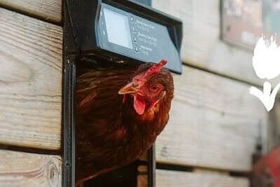 update forecast 2025 is live en new dutch food gelanceerd op holland.com