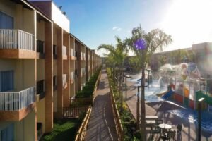 wam group foto divulgação wam group