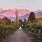 kaiken é eleita um dos 50 melhores vinhedos do mundo