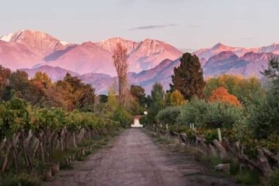 kaiken é eleita um dos 50 melhores vinhedos do mundo