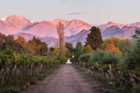 Kaiken é eleita um dos 50 melhores vinhedos do mundo