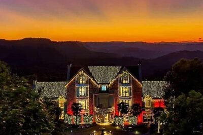 natal no castelo um convite à memória afetiva para eternizar natal no castelo um convite à memória afetiva para eternizar